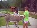 Me On a Donkey