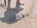 La Playa