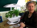 AeroGarden Indoor Herbs - Thumb #1