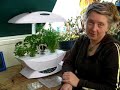 AeroGarden Indoor Herbs