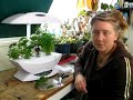 AeroGarden Indoor Herbs - Thumb #3