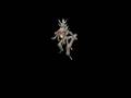 Spore Creature Creator Video