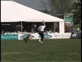 Purina Incredible Dog Challenge 2002 National Finals Purina Incredible Dog Challenge 2002 National Finals
