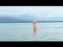 Gen�ve - Rolle - Gen�ve 2008