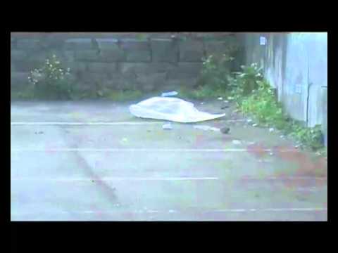 vnguyen7789 - From youtube Class: Survey of Art history.