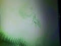 MTM songs