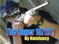 Ruger 10/22:  The Everyman's Rifle, Part 1