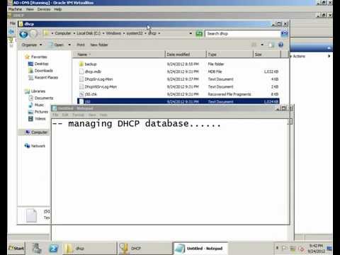 how to recover dhcp database