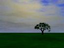 Maya 8.5 - Sunset