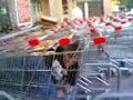 tana vijaka la spesa all iper coop tana vijaka la spesa all iper coop