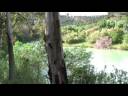 Walk in the woods, near Malaga, Spain HD