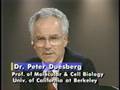 Peter Duesberg: science vs.