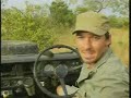lioness killed by mapogos pt 2