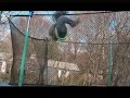 Conor Davidson 720 Backflip/Cork 1080 Conor Davidson 720 Backflip/Cork 1080