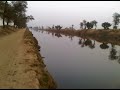 Click here to watch this video pakistani beautiful farms( rehmat farms)MINCHINABAD