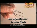 Lowrider How to build a Hot Wheels hopper www.jevries.com Lowrider How to build a Hot Wheels hopper www.jevries.com