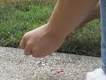 Destroying a SpinZ Ronin