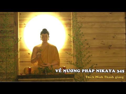 Về Nương Pháp NIKAYA 345