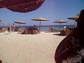 SMSD in the Red Sea (Egypt) Diving Marsa Alam 003