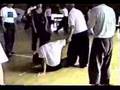 Gao Daosheng (高道生) - Applications of Tanglangquan (螳螂拳)