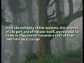 The Seasons Within - Book Trailer