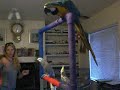 Playstand