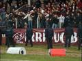 Bordobereliler