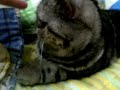 Click here to watch this video SISSY : FINGER GAME 1
