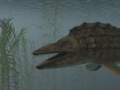 platecarpus new