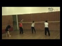 SVS Leiden zevende les Danscommissie 2008/2009