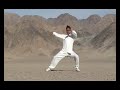 Chenjiagou Taijiquan Shi San Shi (Short Form) Chenjiagou Taijiquan Shi San Shi (Short Form)