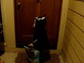 Lennon Seagraves Trick Or Treats At Stephen King\
