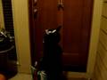 Lennon Seagraves Trick Or Treats At Stephen King's House