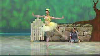 Peter and the Wolf 2019