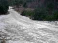 videos de Husky racing in Aviemore / 2009