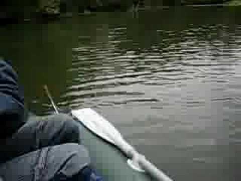 Случайный ролик из видео галереи