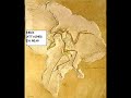 Archaeopteryx Challenge! Archaeopteryx Challenge!