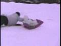 comedy18 afv comedy comedy18 afv comedy