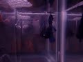 blue super delta tail betta blue super delta tail betta