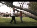 videos de Banzai Bram
