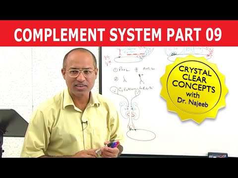Complement System - Immunology - Part 9/18