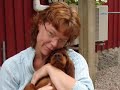 Caemgens Check & Double Check Irish Setter Puppies