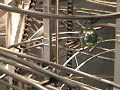 Rolling Ball Sculpture: \"Mechanical Demonstrator: VT Link\" Rolling Ball Sculpture: \"Mechanical Demonstrator: VT Link\"
