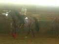 manege