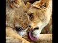 Oh, my love (Righteous Brothers - Unchained Melody)  !! SUPERBE !!!!!!!!!!!
