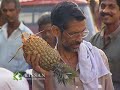 Documentary on the social relevance of vishu as the planting season in Kerala