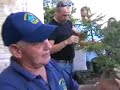 Lavorazione bonsai - Bonsai Club Valle Agno