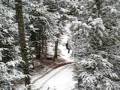 Janki Zipping in New Hampshire