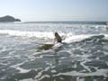 videos de Cherzinha Surfando no inverno