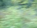 videos de Cedar Falls